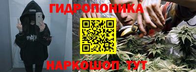2c-b Моздок