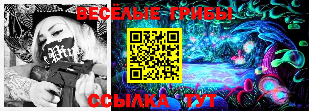 Богородск  Псилоцибиновые грибы Magic Shrooms  закладки  Вход с VPN 
