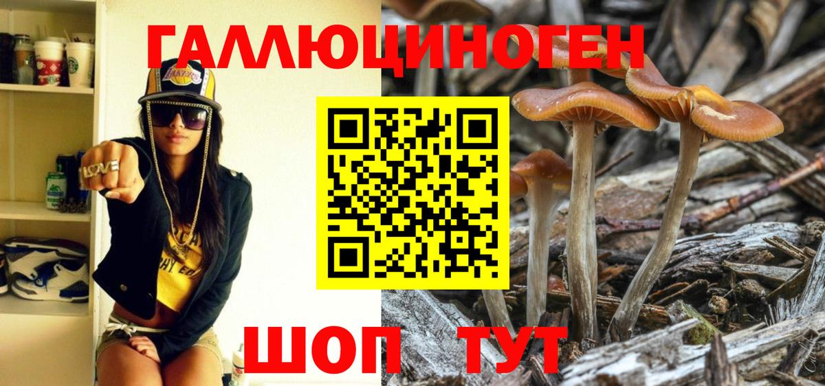 Псилоцибиновые грибы GOLDEN TEACHER Богородск